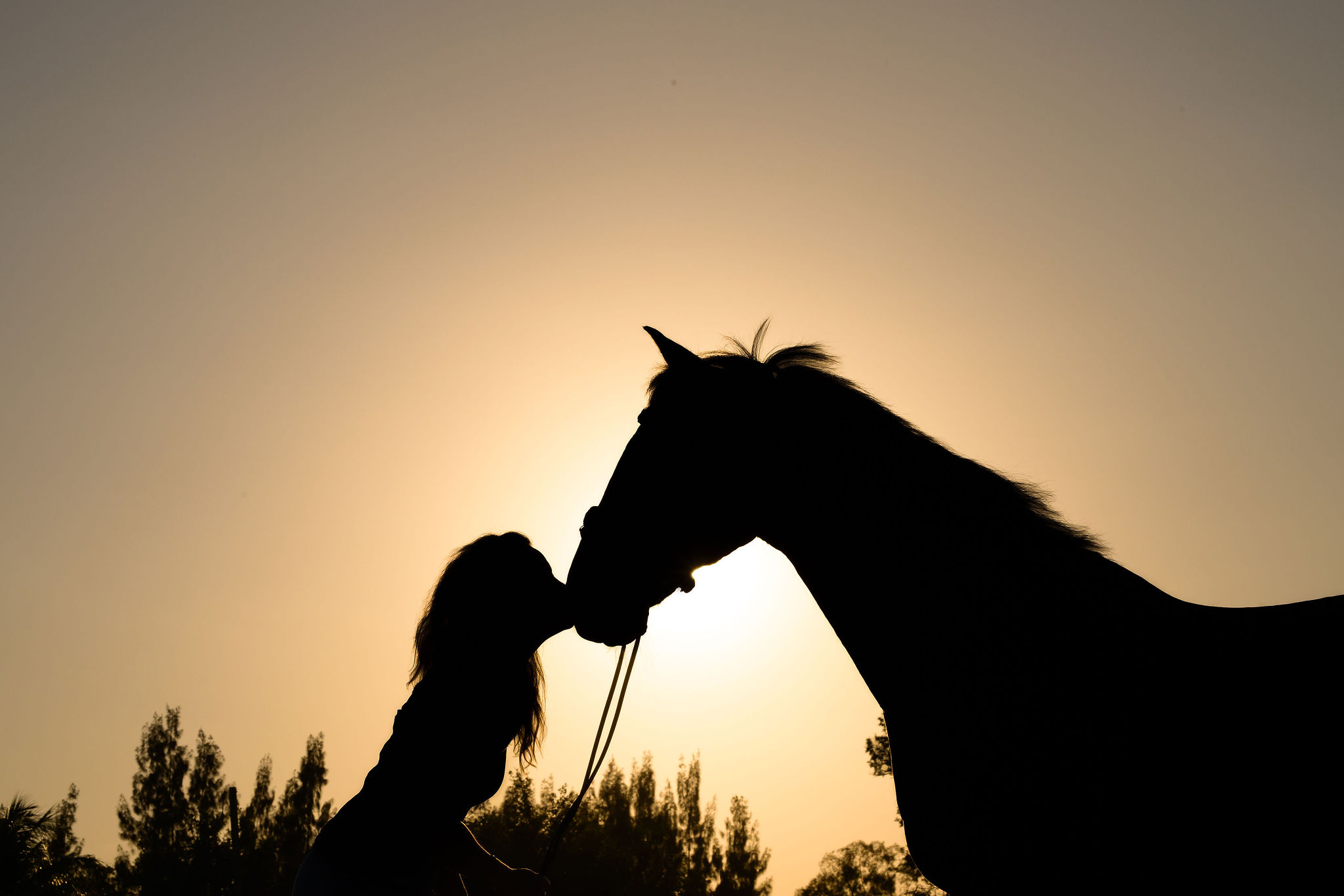 Silhouette of a lady kissing a horse during sunset